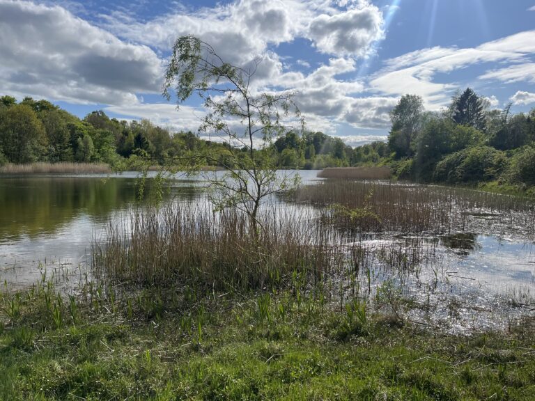 Hiking the Ringsted Oplevelsessti and the Køge Å-stien