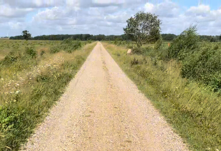 Is Hiking in Denmark Worth It? 5 Reasons to Try Denmark’s Flat Trails