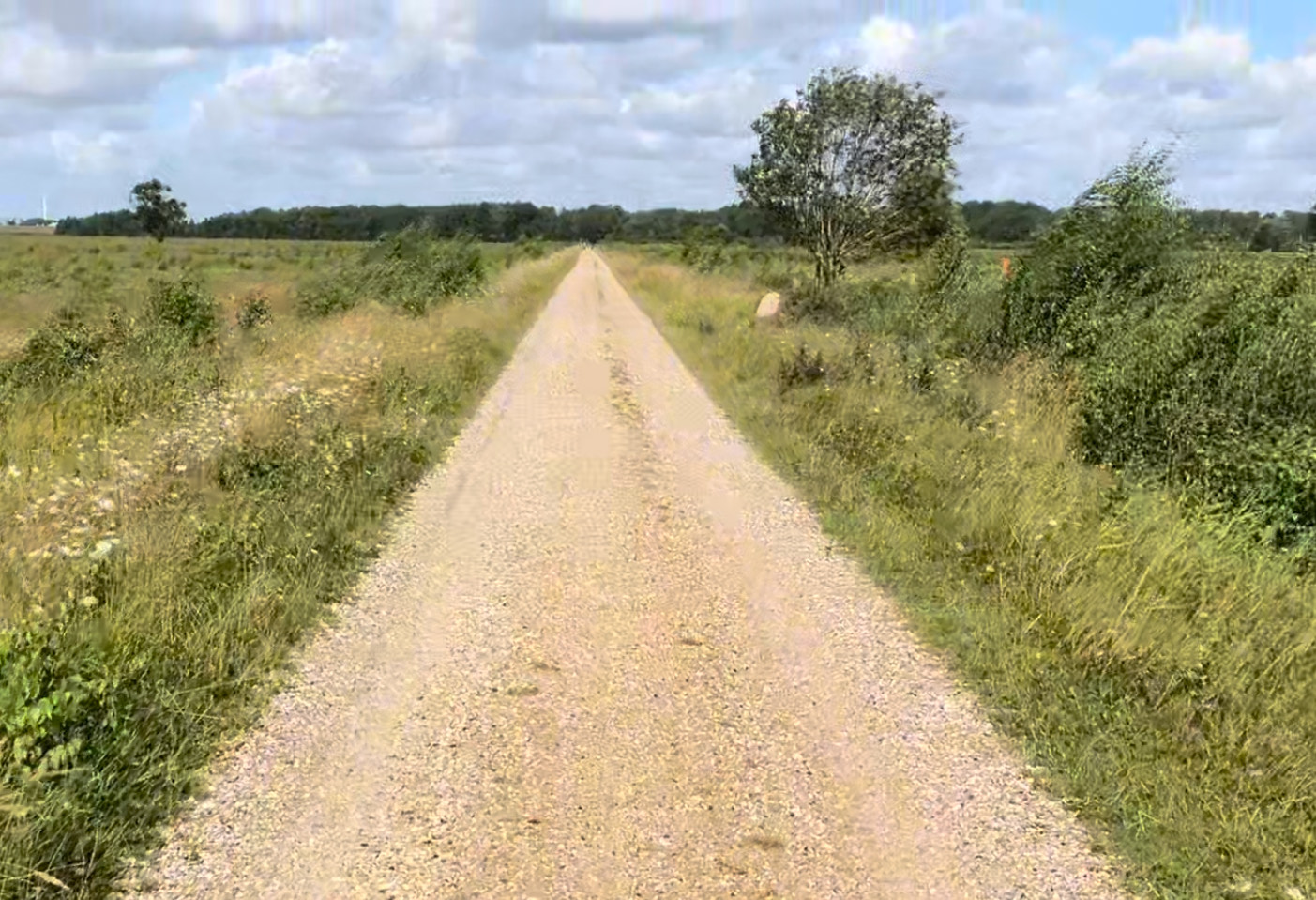 Is Hiking in Denmark Worth It? 5 Reasons to Try Denmark’s Flat Trails
